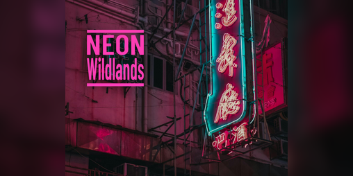 Cover image for Neon Wildlands