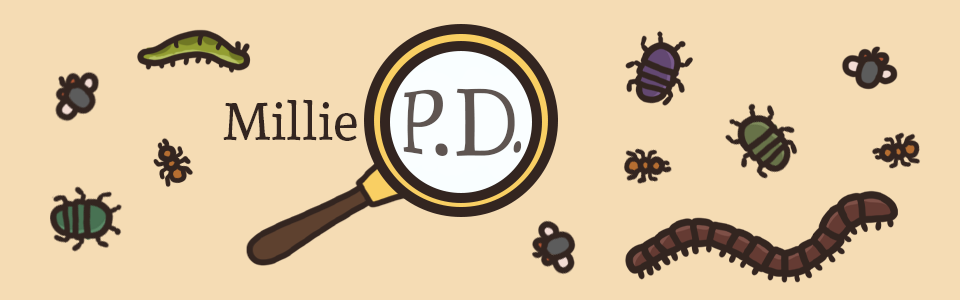 Millie P.D.