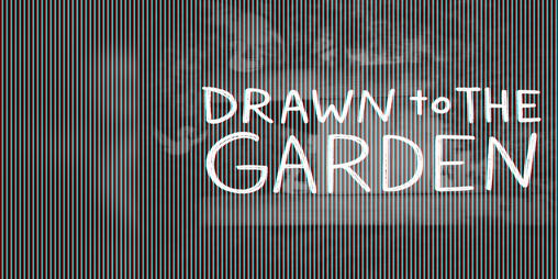 Cover image for Drawn to the Garden