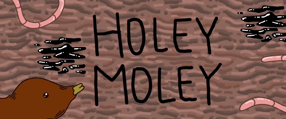 Holey Moley