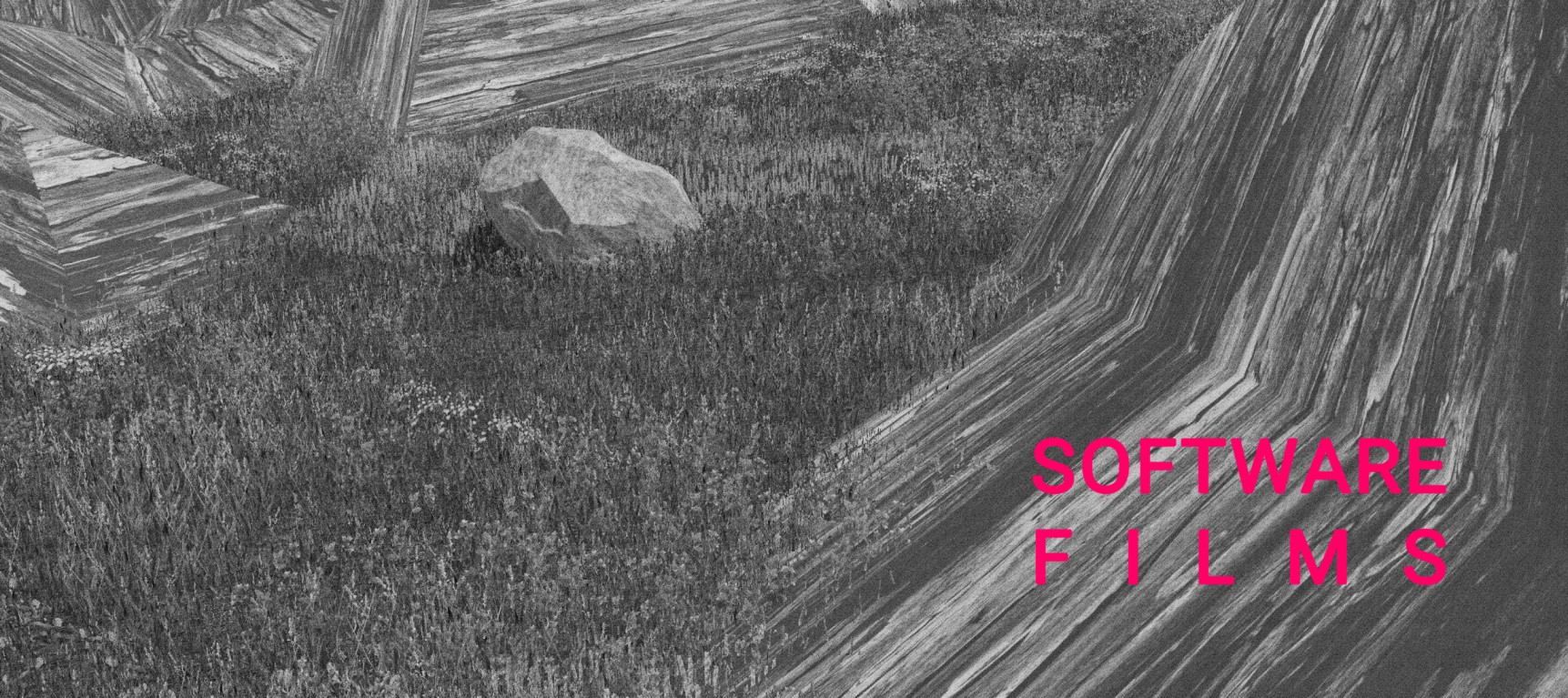 Software Films