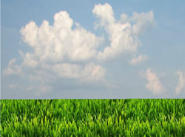 Birdshot-ClickerGame