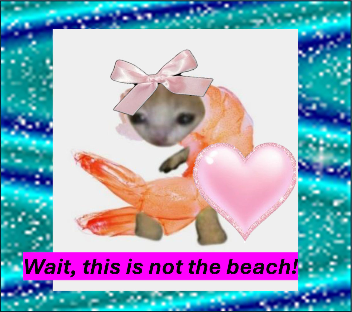 Cover image for Beachpartyfun!