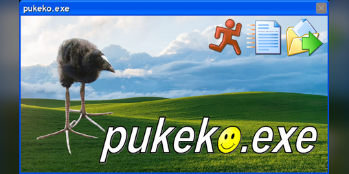 Cover image for pukeko.exe
