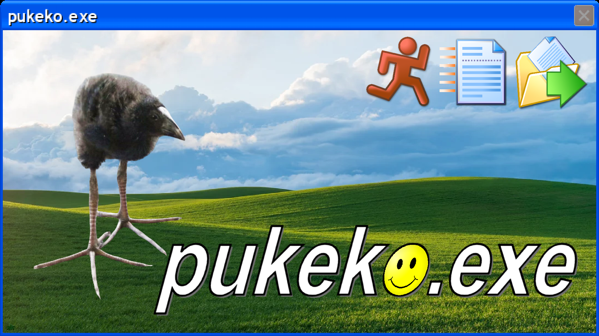 Cover image for pukeko.exe