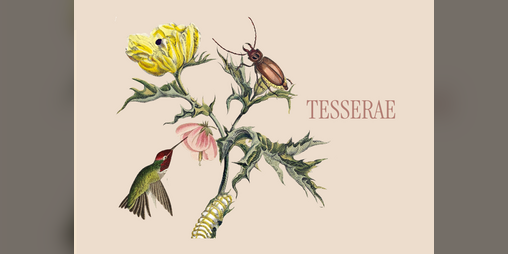 Cover image for tesserae
