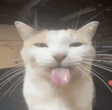 Copy-Catz