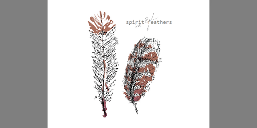 Cover image for spirit feathers | huruhuru wairua