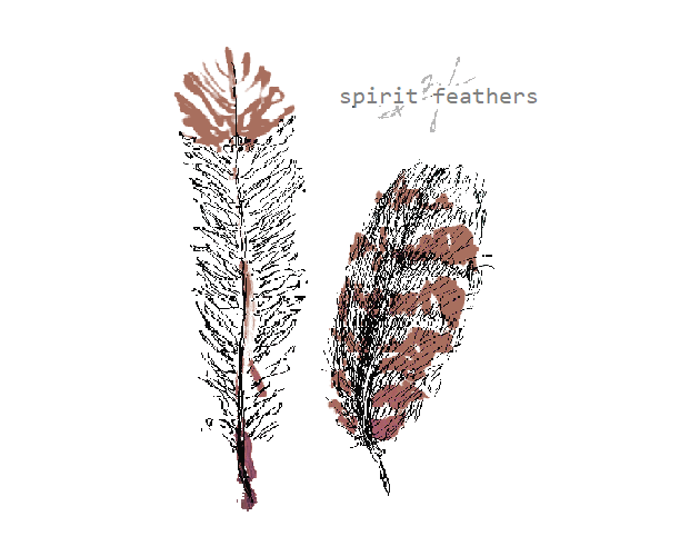 Cover image for spirit feathers | huruhuru wairua