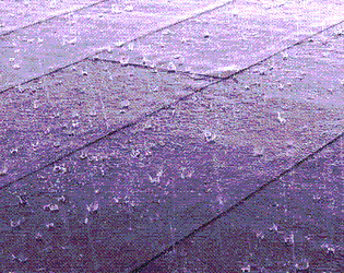 Rain City
