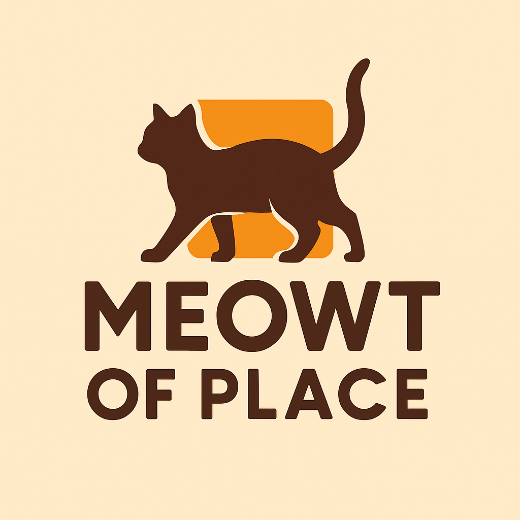 Cover image for Meowt of Place