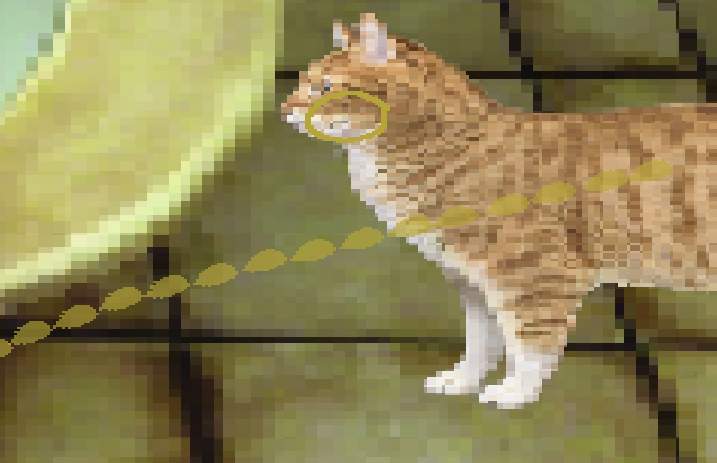 Cover image for Peeing