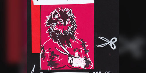 Cover image for The Wolf is the Surgeon