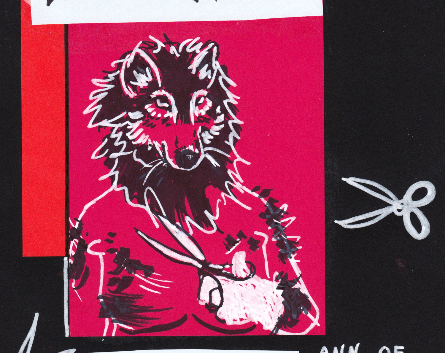 Cover image for The Wolf is the Surgeon