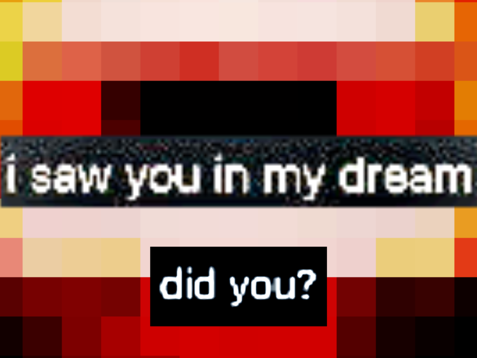 Cover image for I saw you in my dream