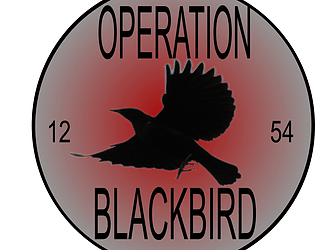 Operation Blackbird