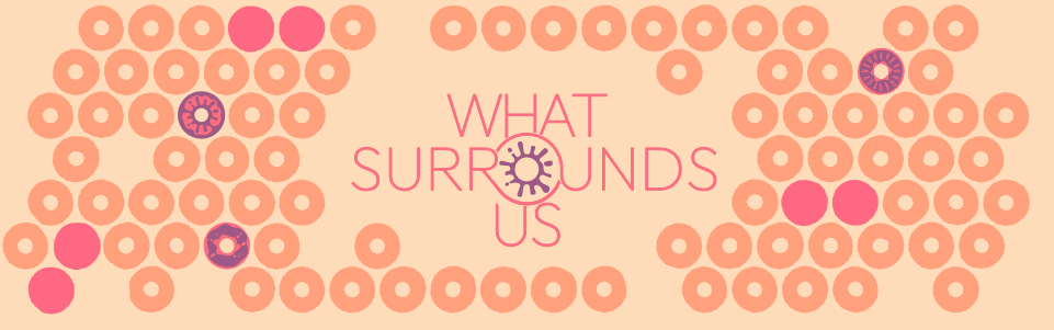 What Surrounds Us