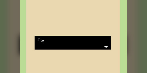 Cover image for Fly