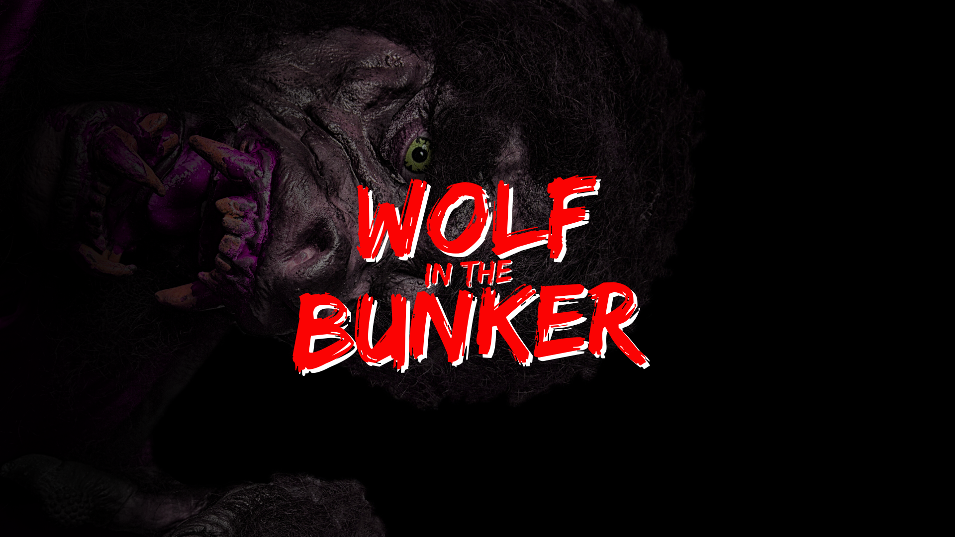 Cover image for Wolf In The Bunker