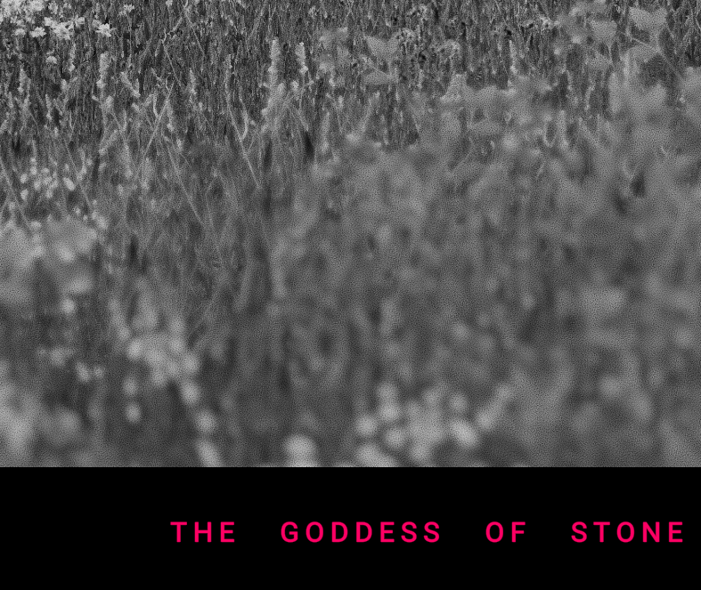 Cover image for The Goddess of Stone