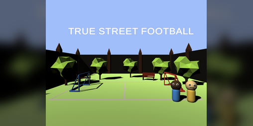 Cover image for True Street Football