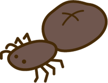 くもvsまほう by るか