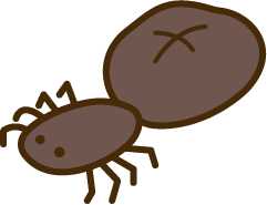 Cover image for くもvsまほう (Spider vs. Magic)