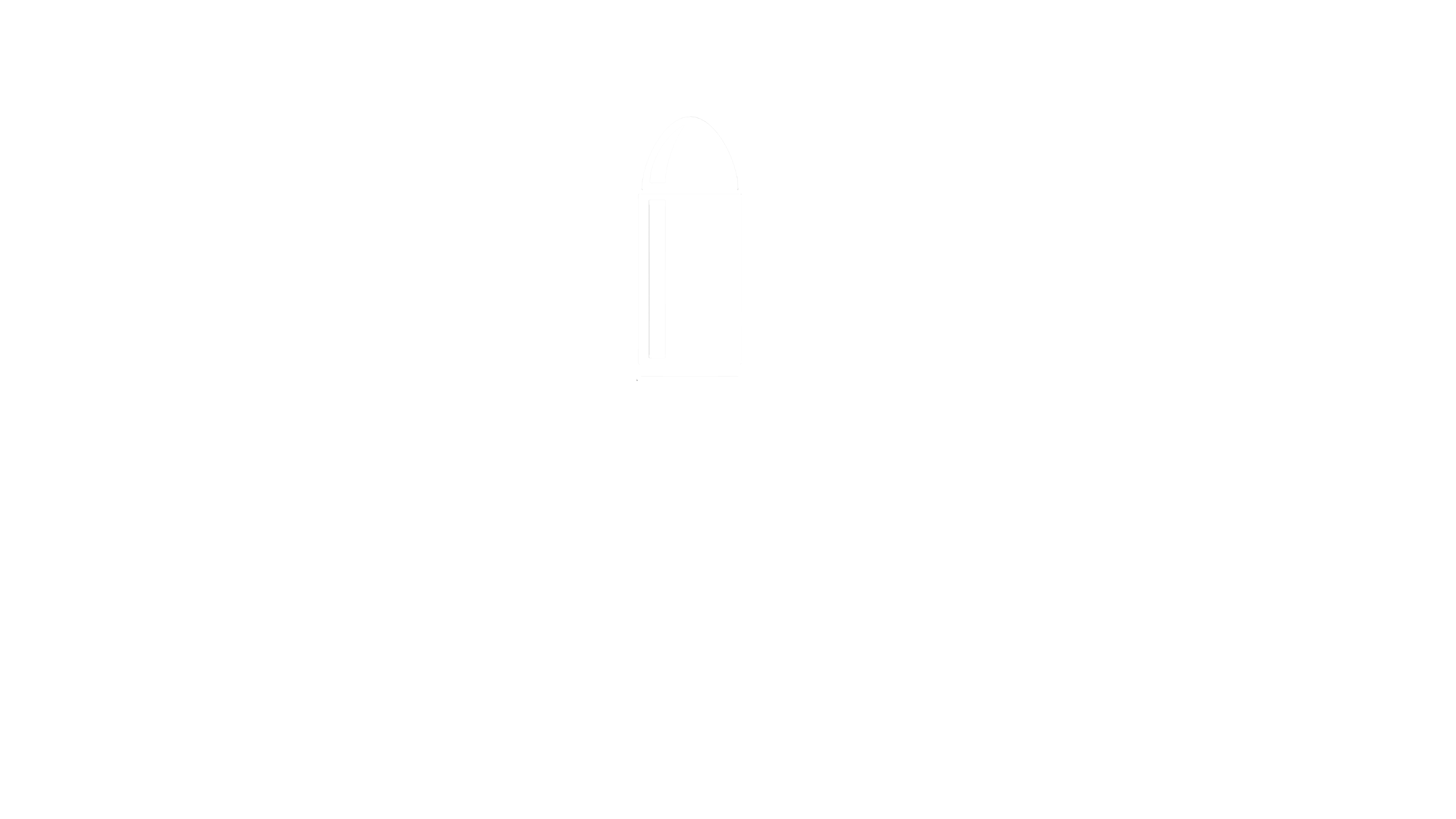 WISE GUYS
