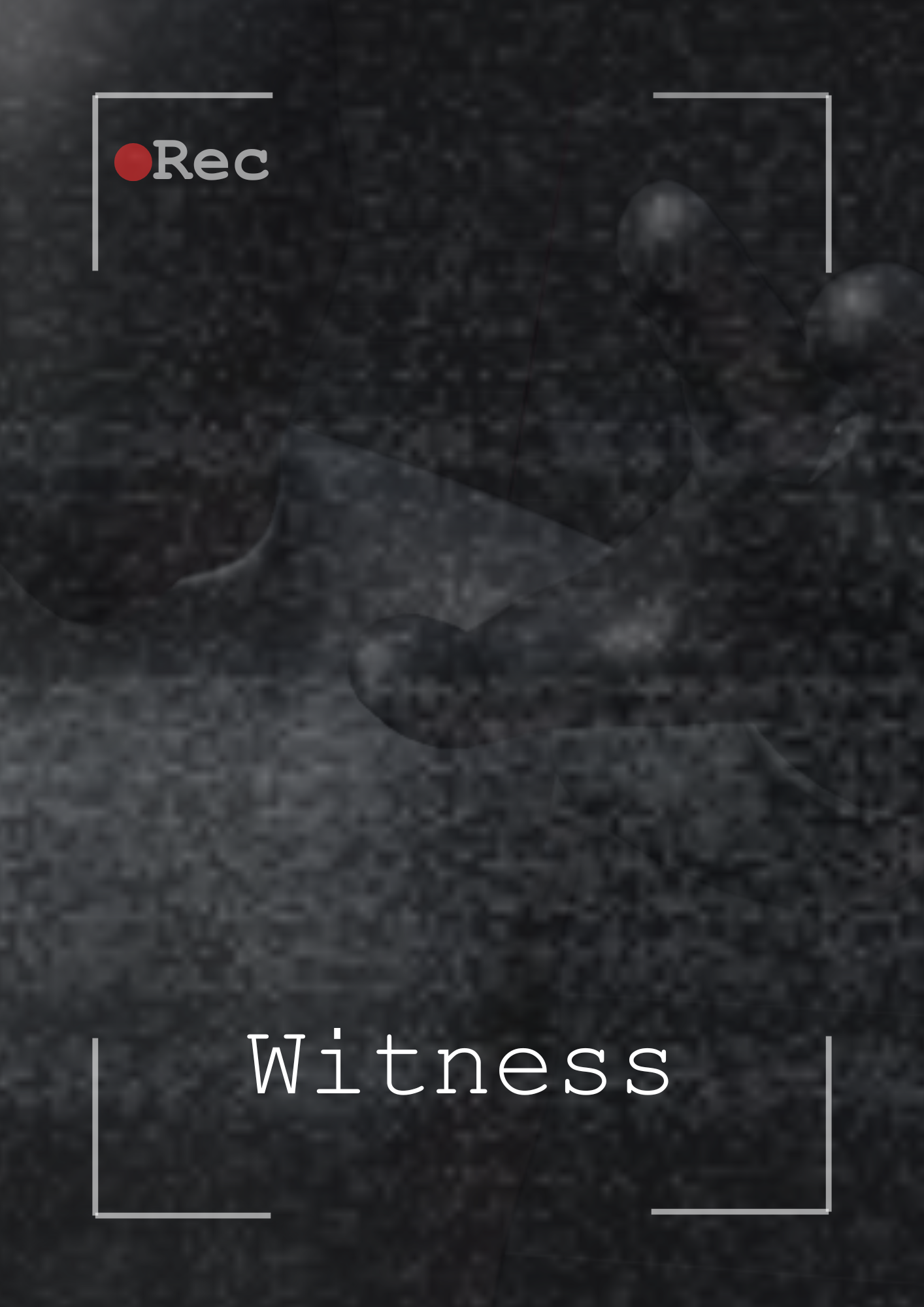 Witness