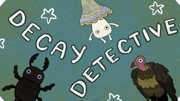 Decay Detective