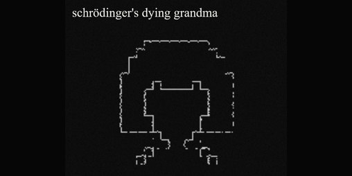 Cover image for schrödinger's dying grandma