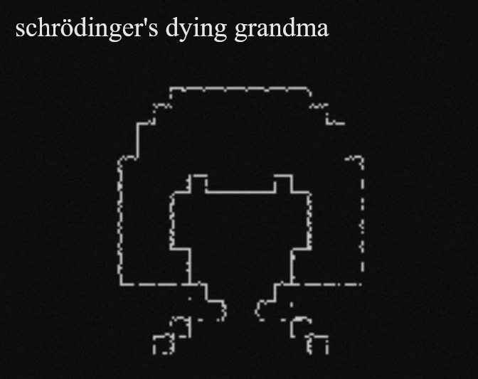 Cover image for schrödinger's dying grandma