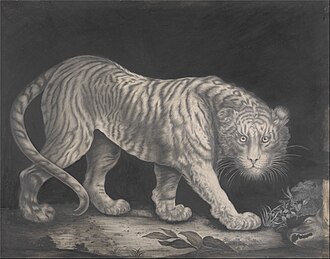 Cover image for Second-guessing my death