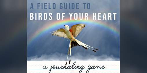 Cover image for A Field Guide to Birds of Your Heart