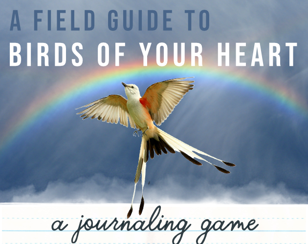 Cover image for A Field Guide to Birds of Your Heart