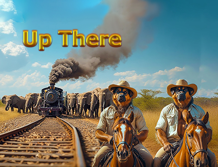 Cover image for Up There
