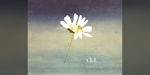 Cover image for T.B.D