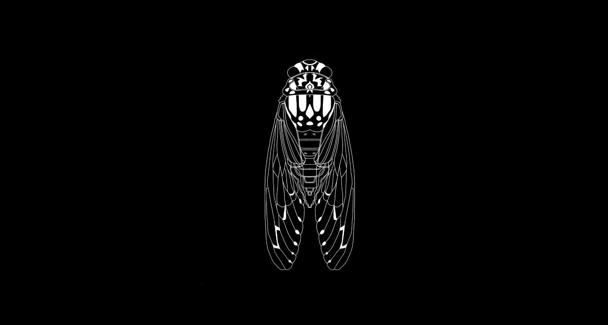 Cover image for cicada days