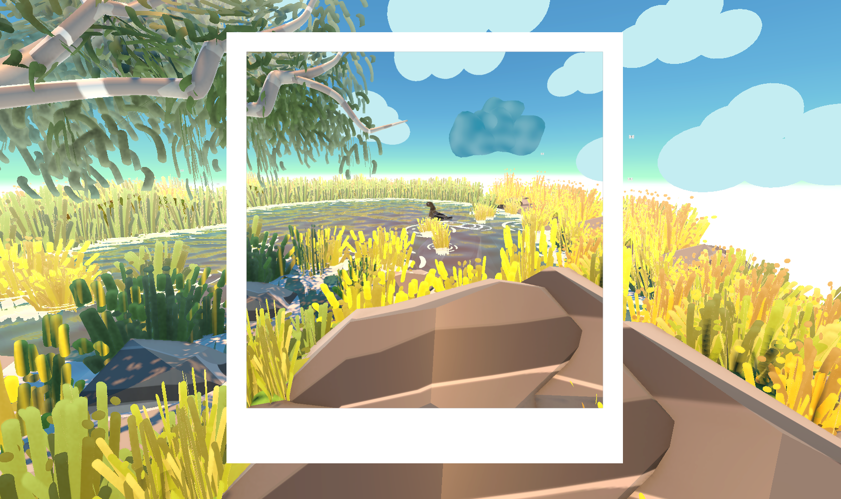 Environmental Vignette