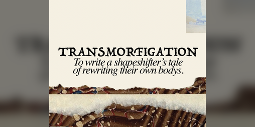 Cover image for TRANSMORFIGATION