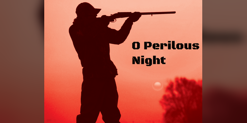 Cover image for O Perilous Night