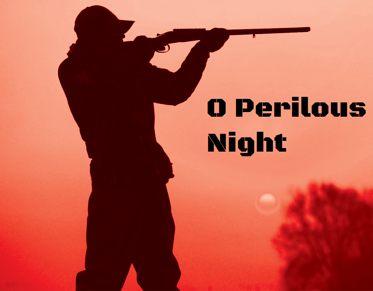 Cover image for O Perilous Night