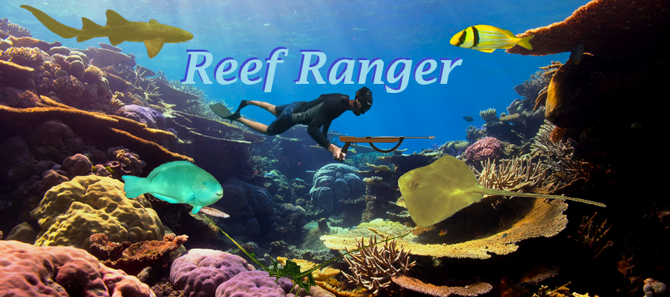 Reef Ranger