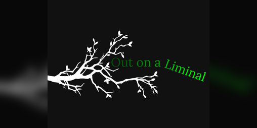 Cover image for Out on a Liminal