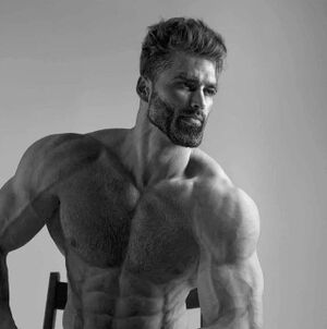Cover image for Super Muscle