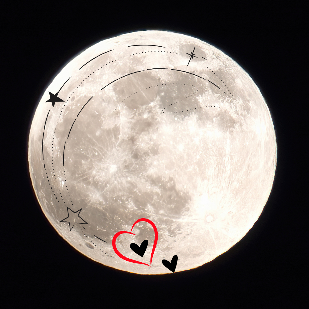 Cover image for Moonlight Protocol