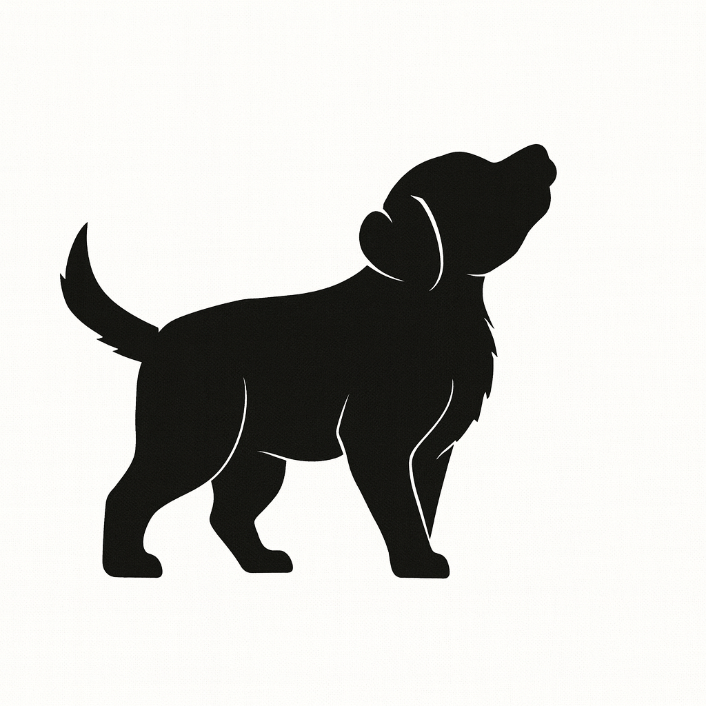 Cover image for TOM: El Perro Civil de Malvinas