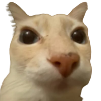 Slendercat cover