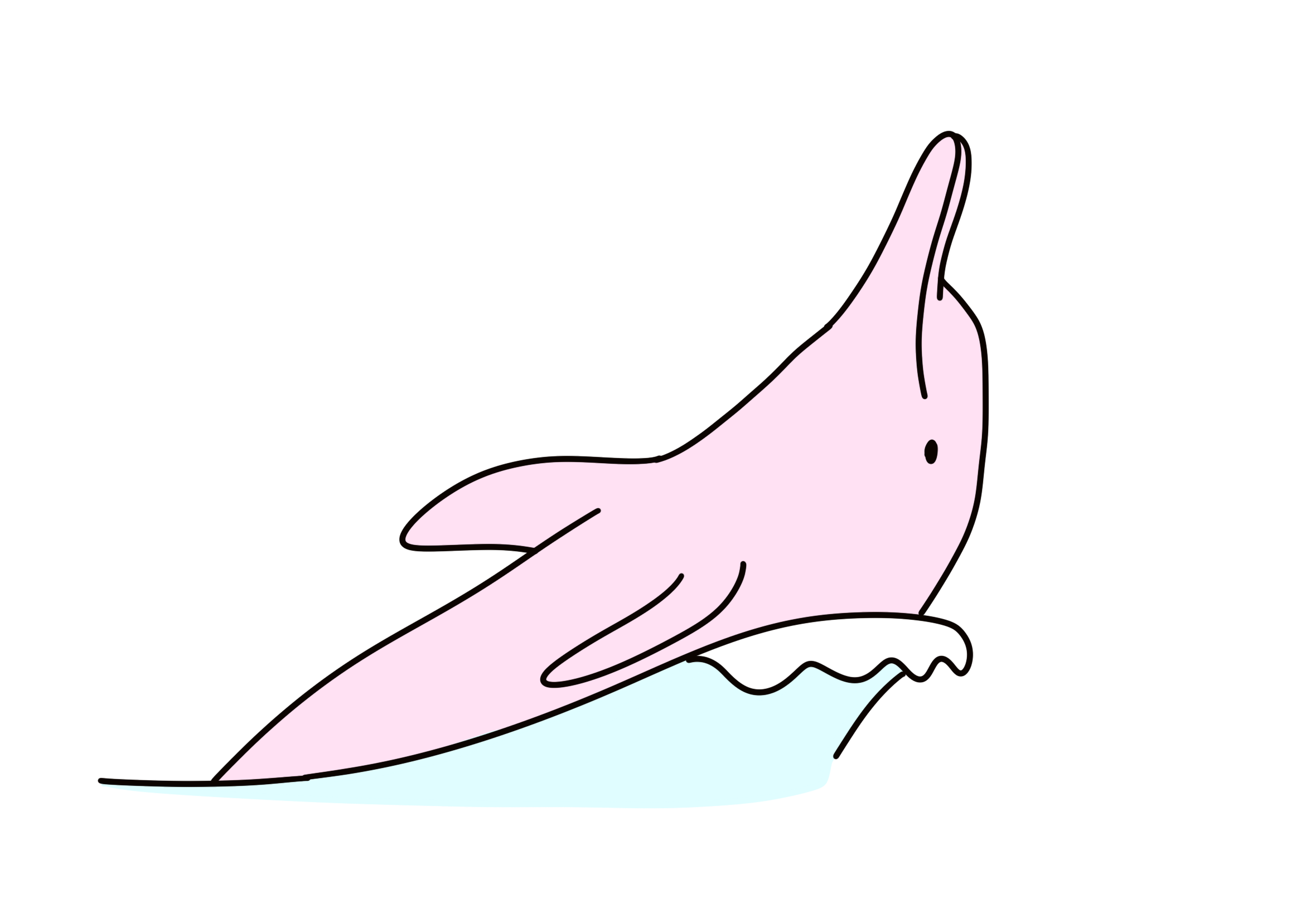 Life of Dolphin : Survive