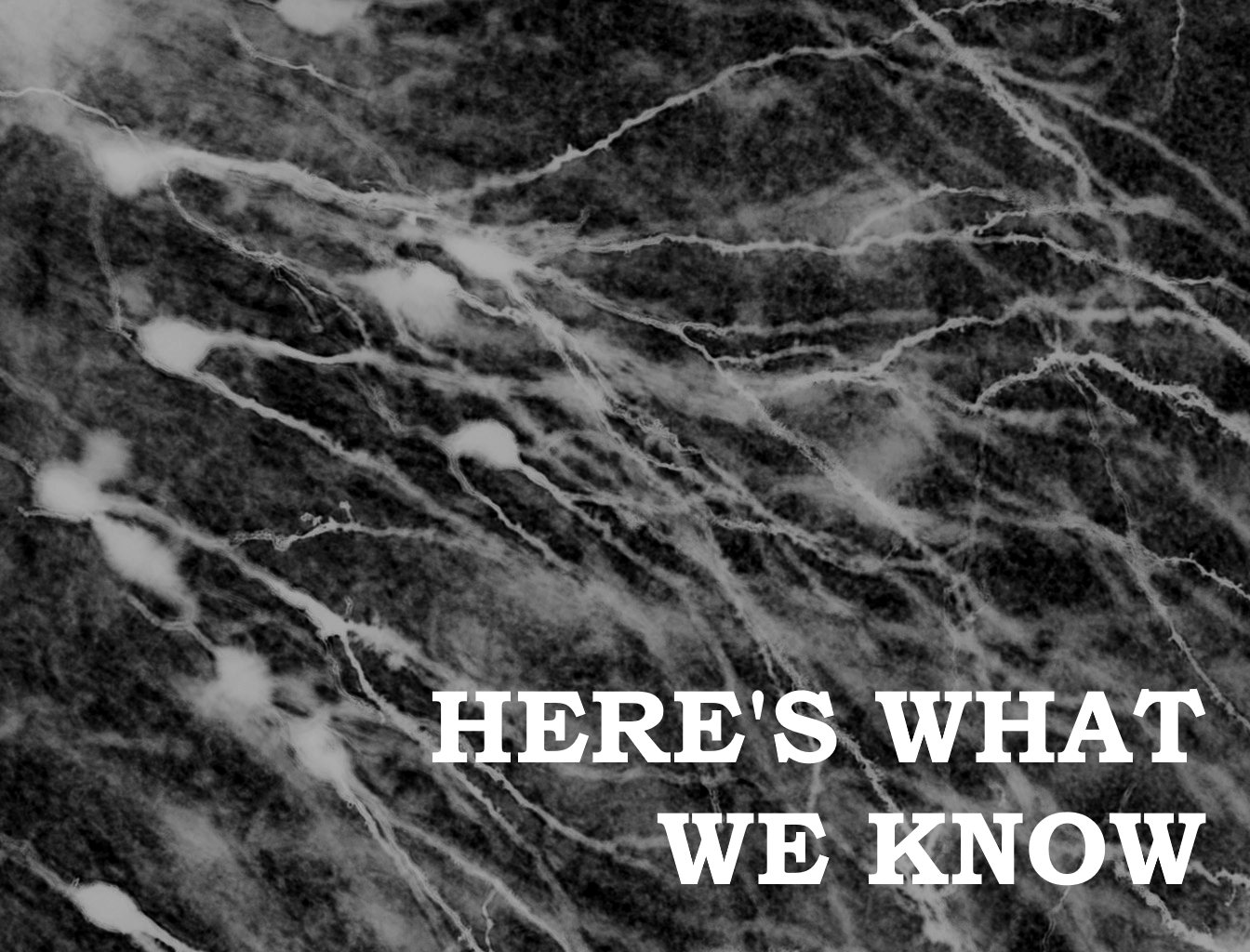 Cover image for Here's What We Know